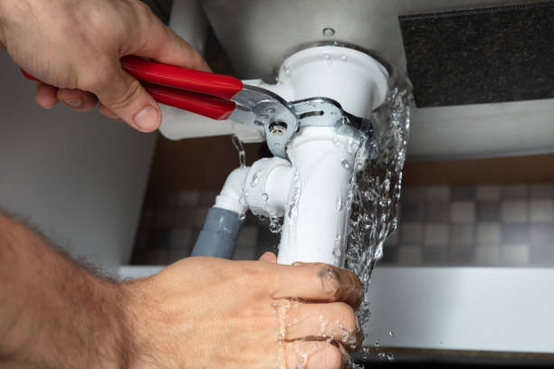 Best Flood damage cleanup  in Swift Trail Junction, AZ