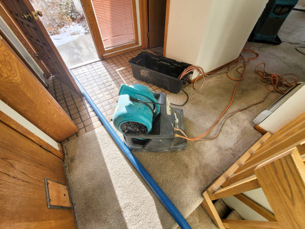 Best Ceiling water damage repair  in Swift Trail Junction, AZ