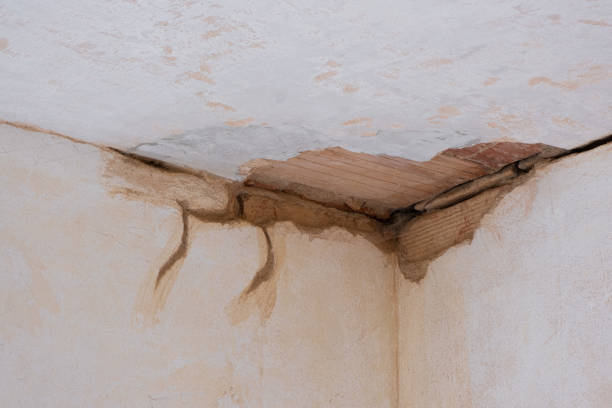 Best Professional water damage repair  in Swift Trail Junction, AZ