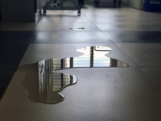 Best Water damage contractors near me  in Swift Trail Junction, AZ