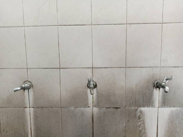 Best Flood restoration services  in Swift Trail Junction, AZ