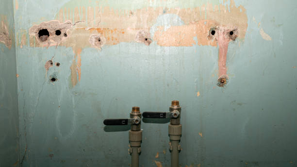 Best Carpet water damage restoration  in Swift Trail Junction, AZ