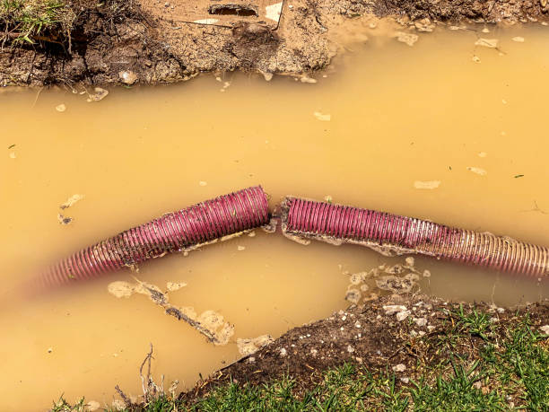 Best Residential water damage restoration  in Swift Trail Junction, AZ