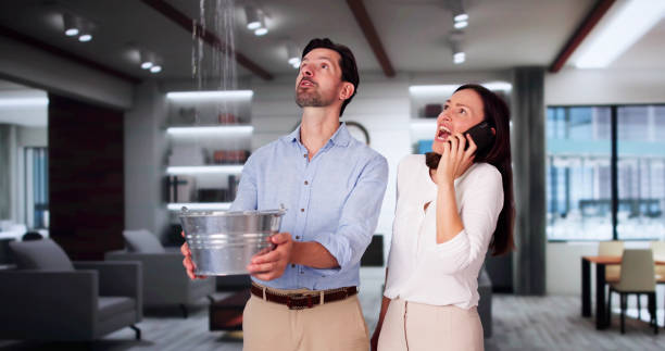 Water damage restoration mold remediation in Swift Trail Junction, AZ
