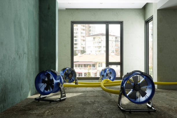 Best 24-hour water damage restoration  in Swift Trail Junction, AZ