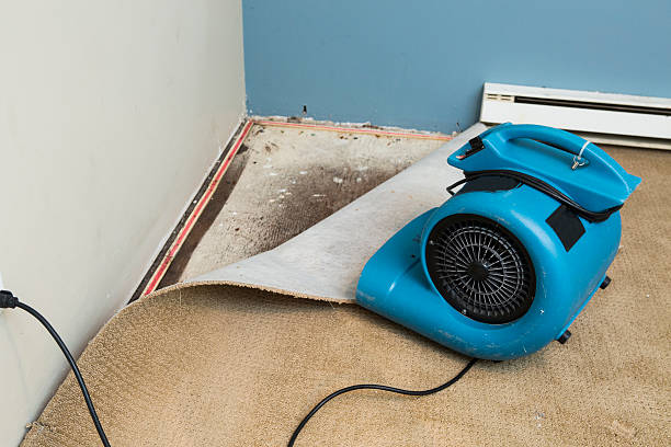 Best 24/7 water damage repair  in Swift Trail Junction, AZ